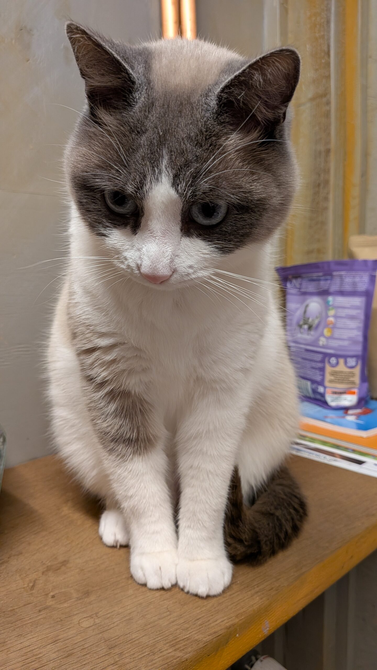 PXL_20251201_175734227