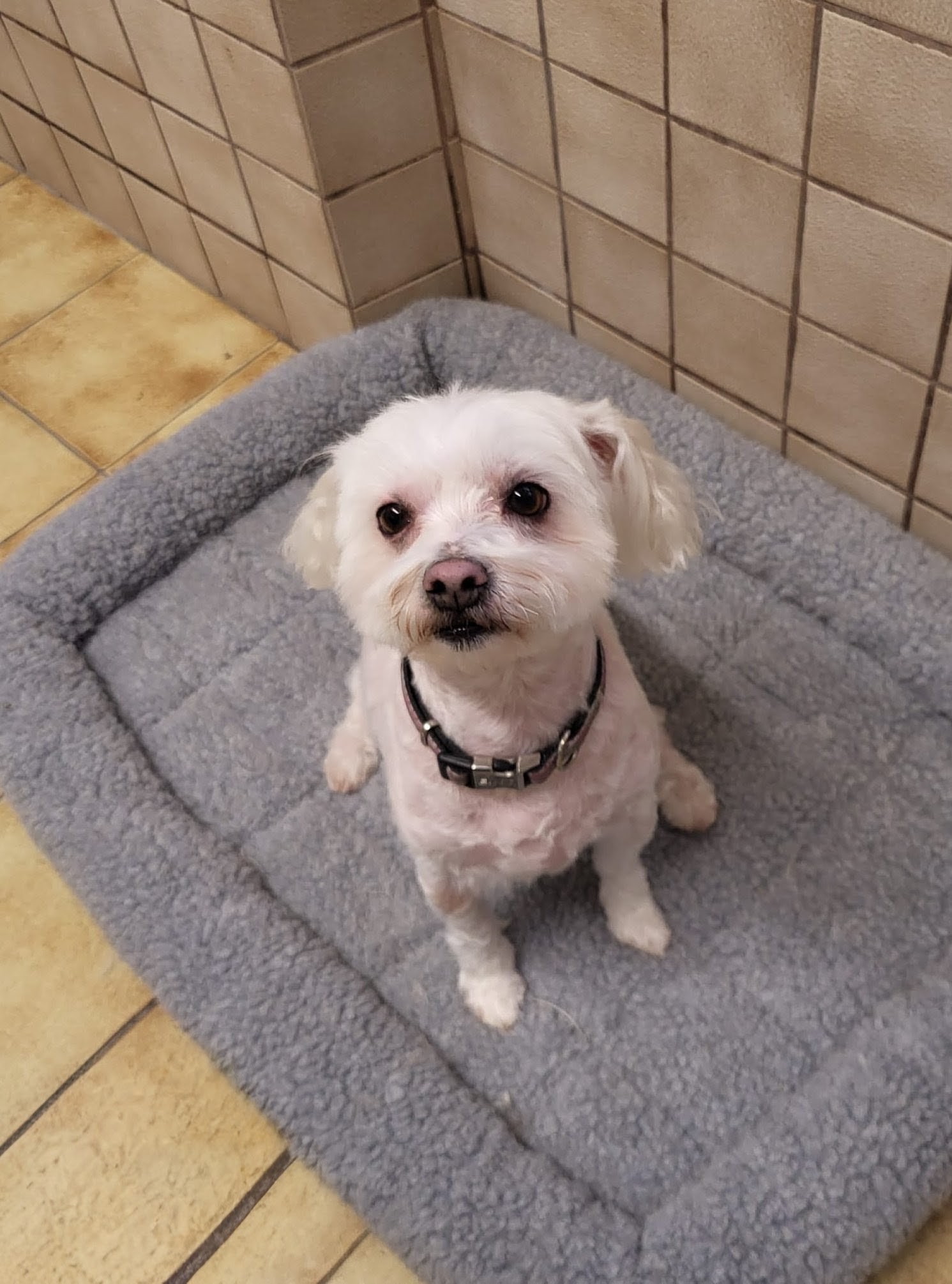 IMG-20260127-WA0013~2