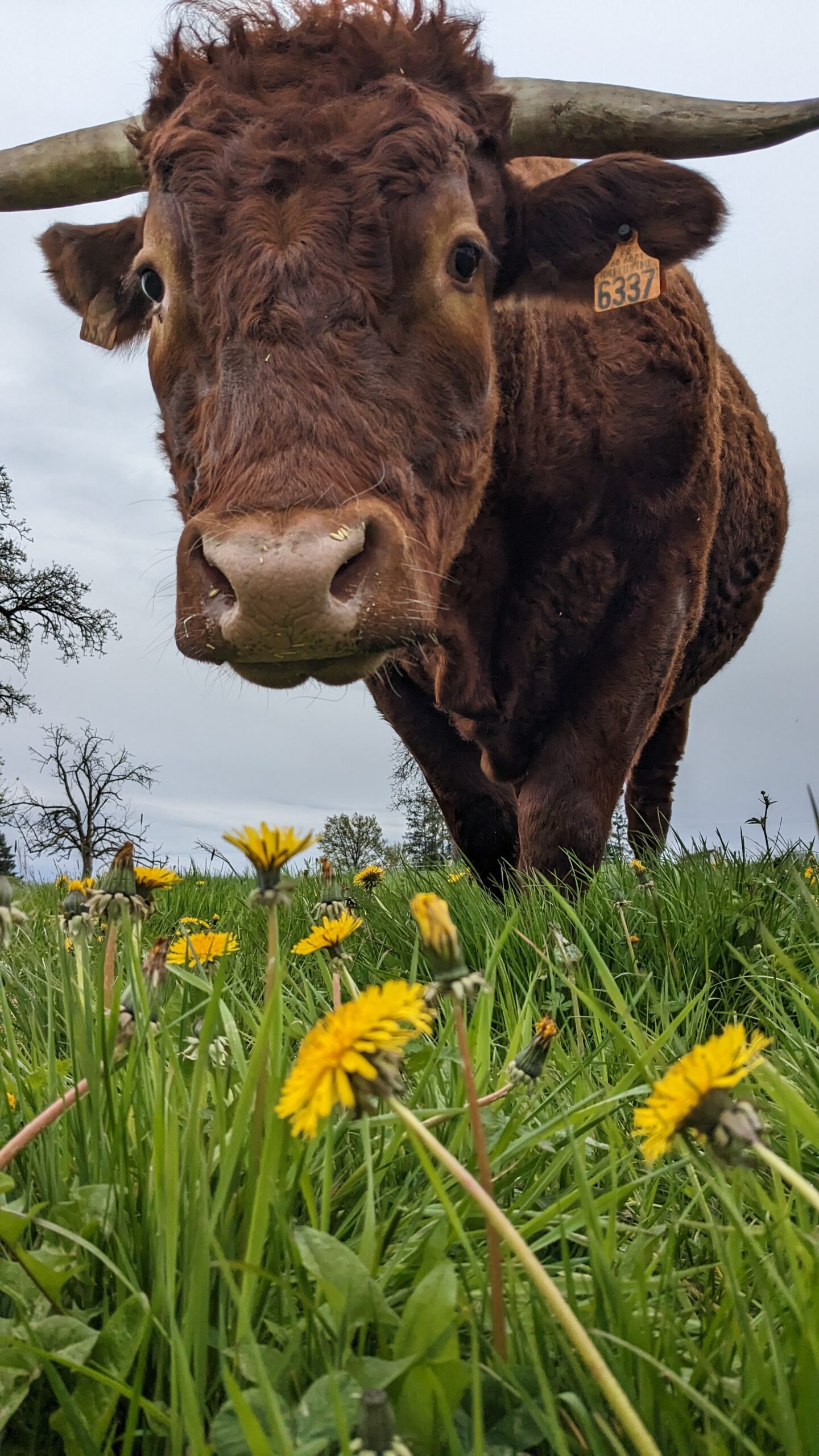 PXL_20230422_145900023