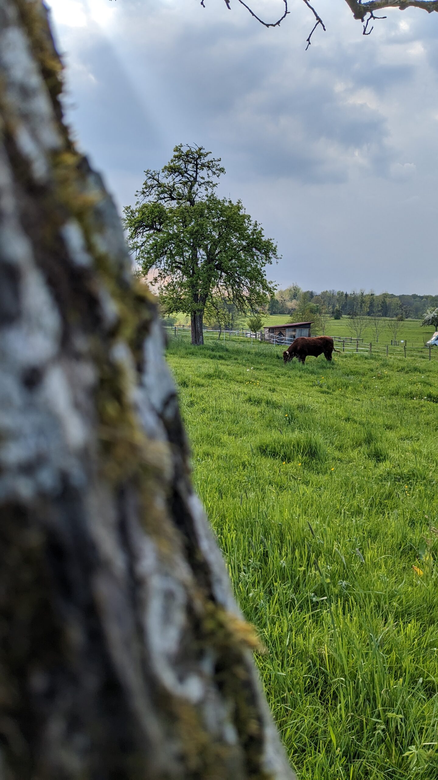 PXL_20230502_152335239