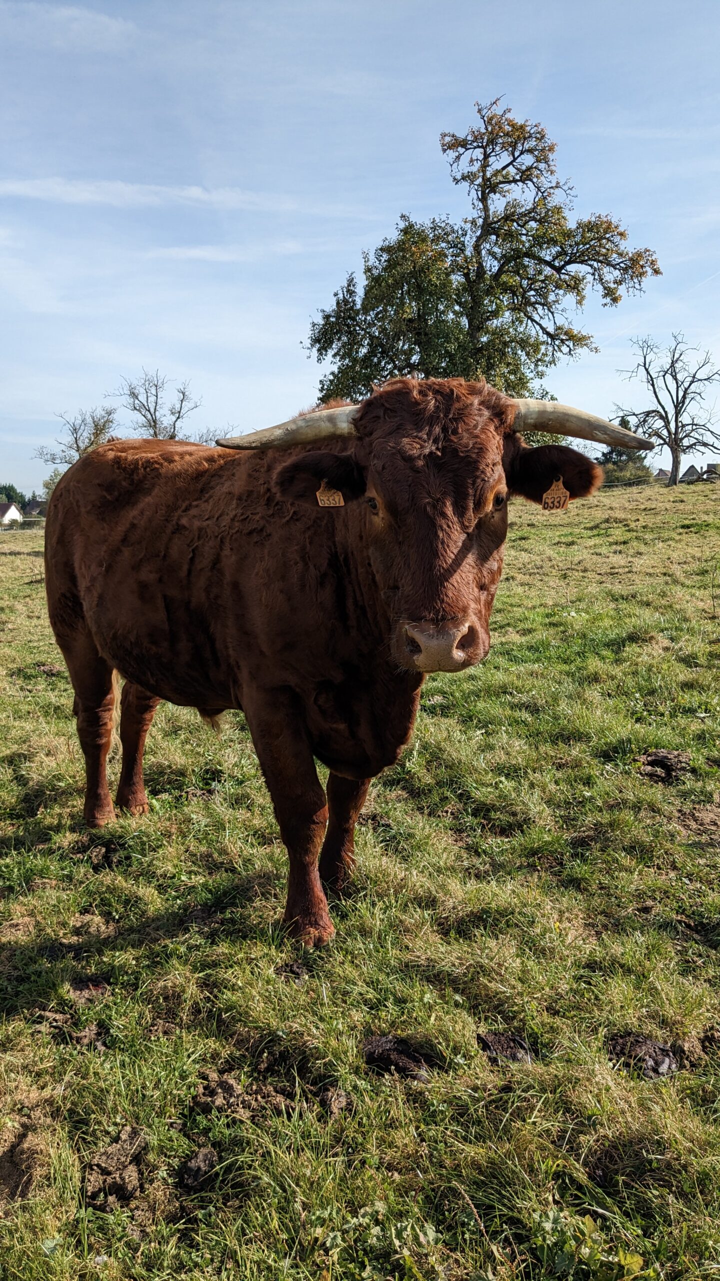 PXL_20231017_121126754