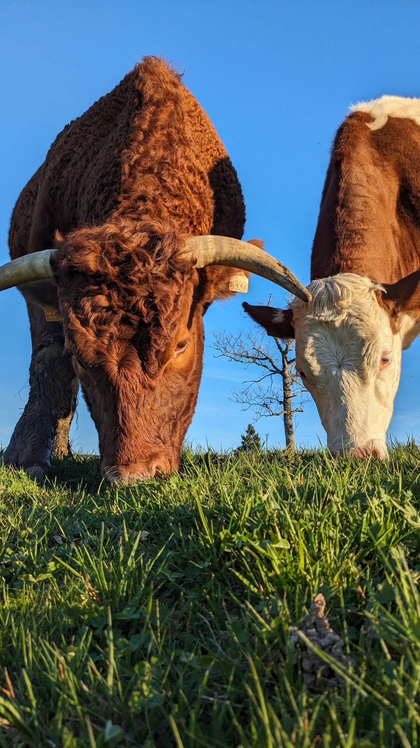 PXL_20240322_165344494