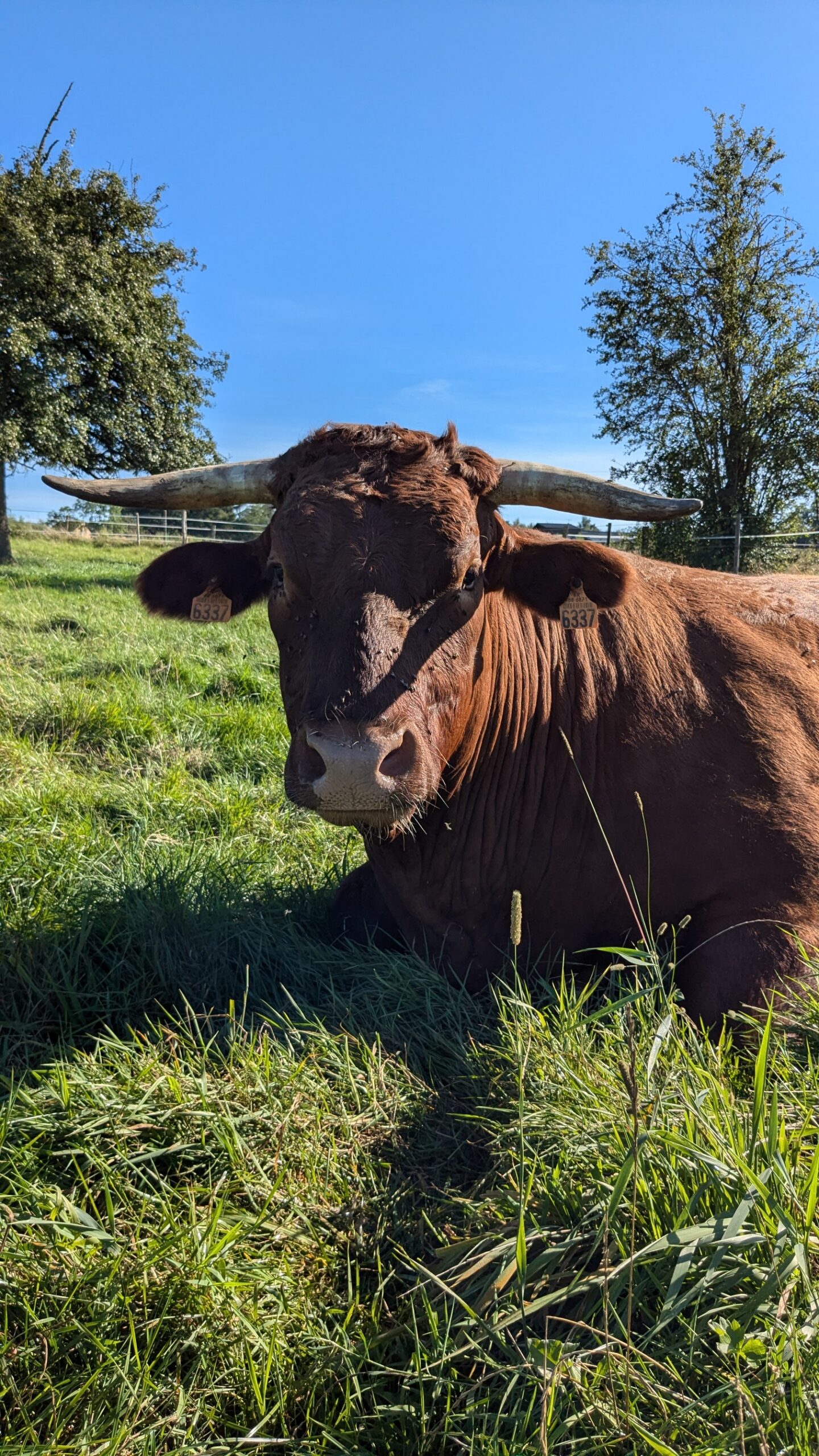 PXL_20240808_154619867