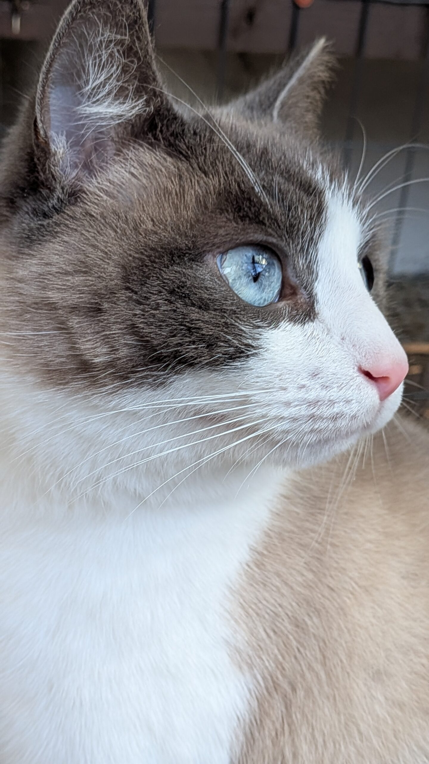 PXL_20251117_115951988