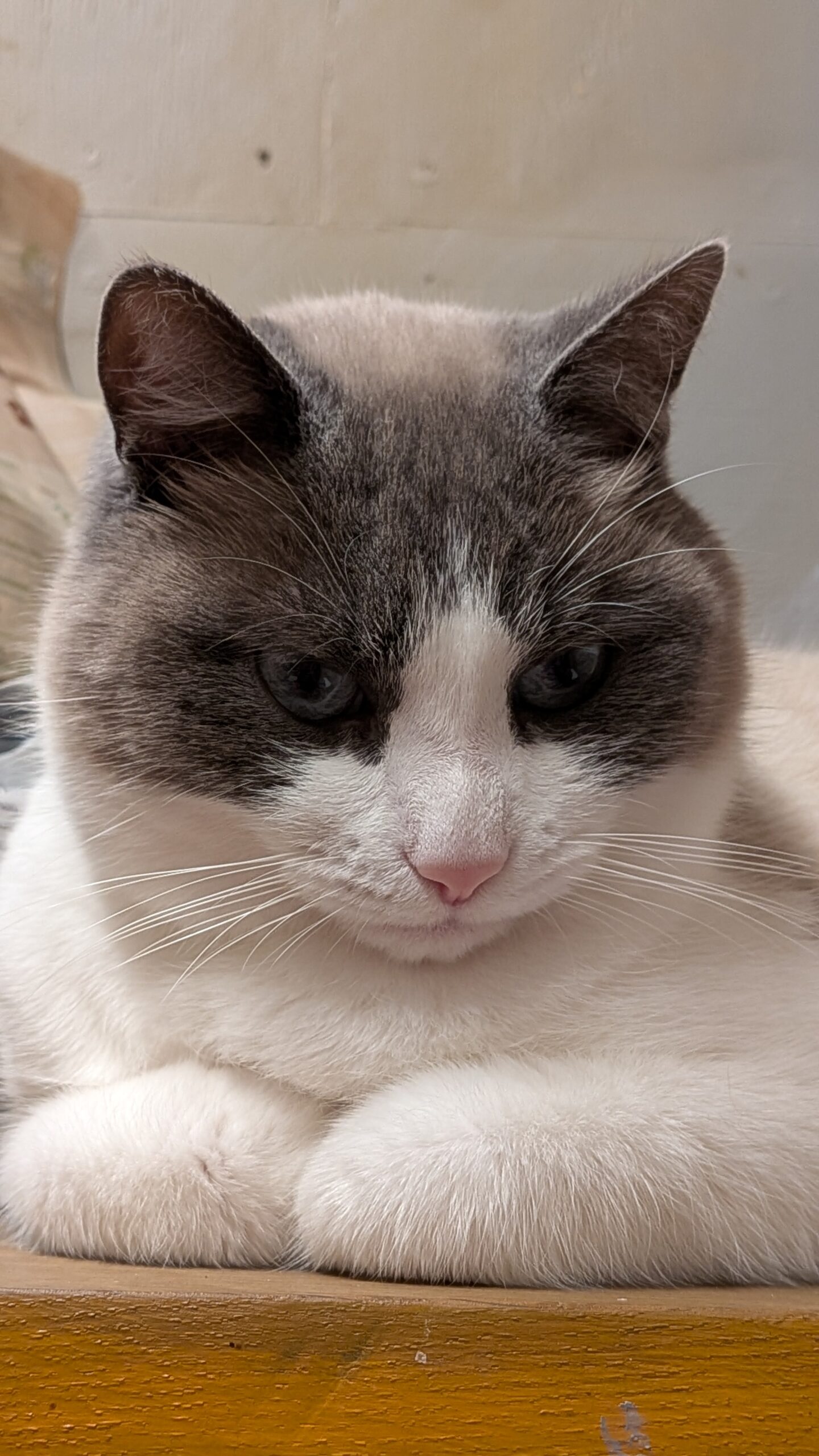 PXL_20251201_175453228