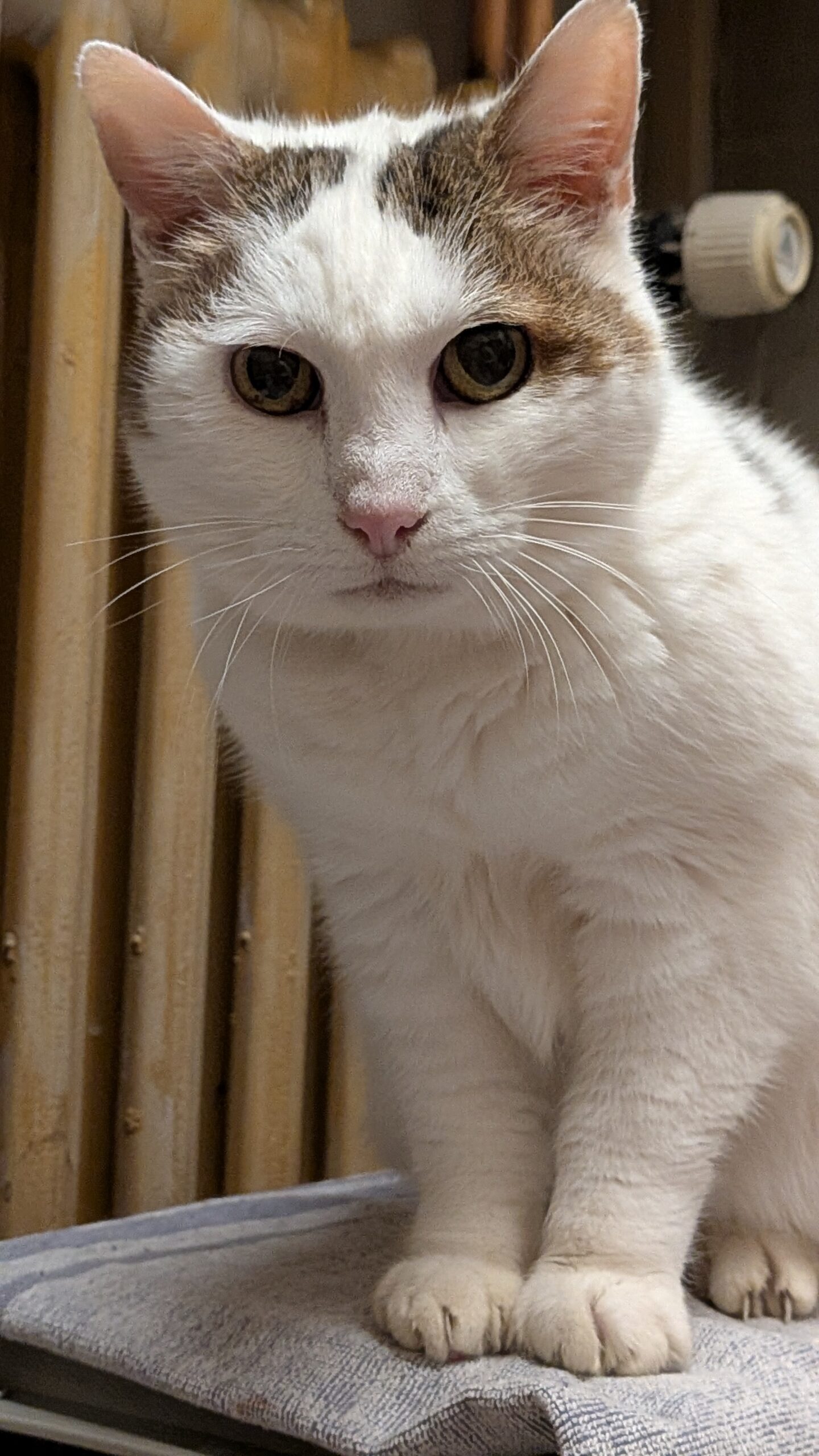 PXL_20260106_135735441