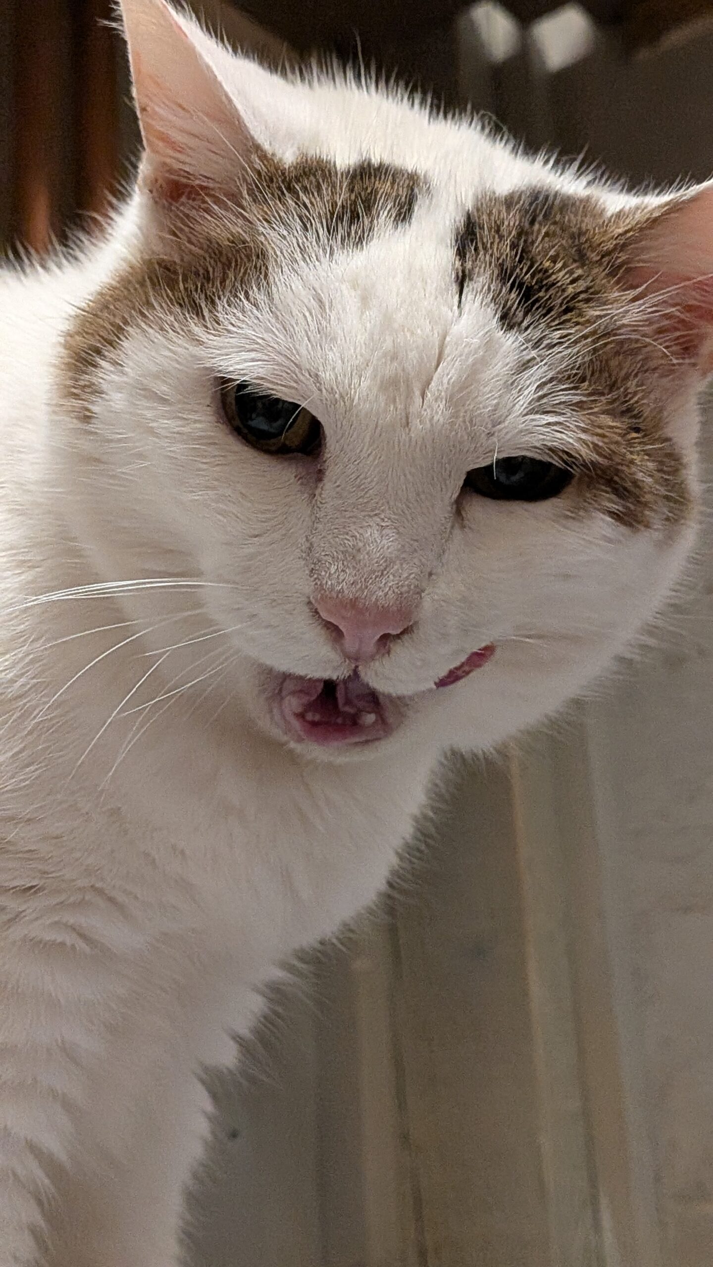 PXL_20260106_135933711