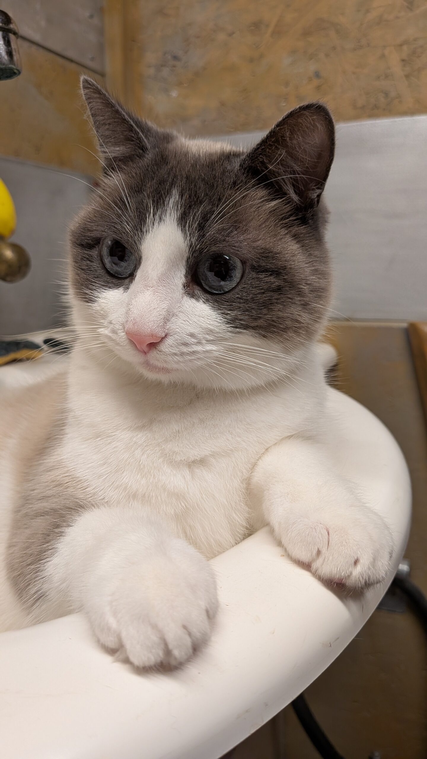 PXL_20260126_211401818