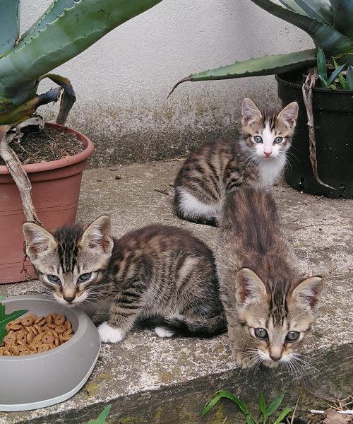 33,34,188,199.320282