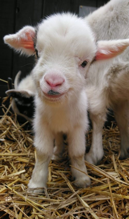 34,35,236,251.109253