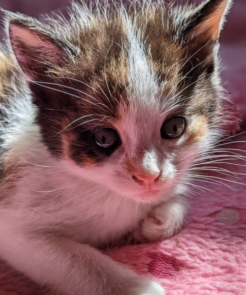 PXL_20230822_090926884.PORTRAIT