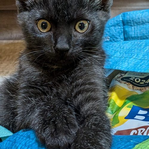 PXL_20240724_133716982