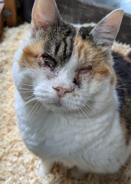 PXL_20240825_132627607