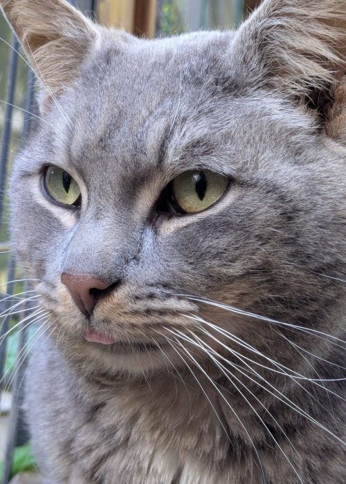 PXL_20250523_163105974