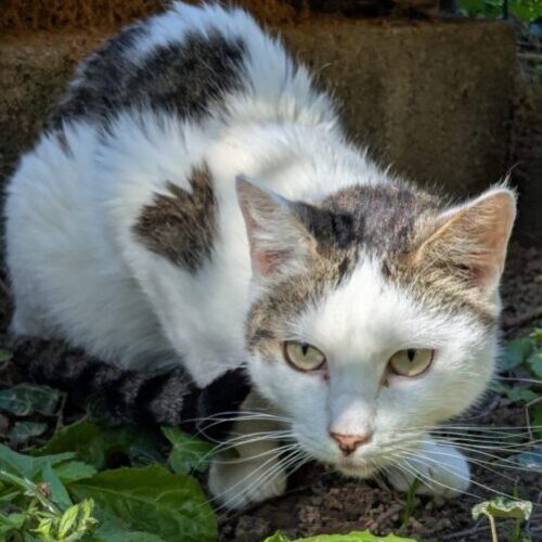 PXL_20250807_143453516