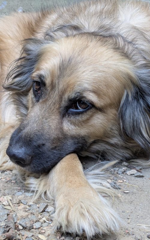 PXL_20250807_145345611