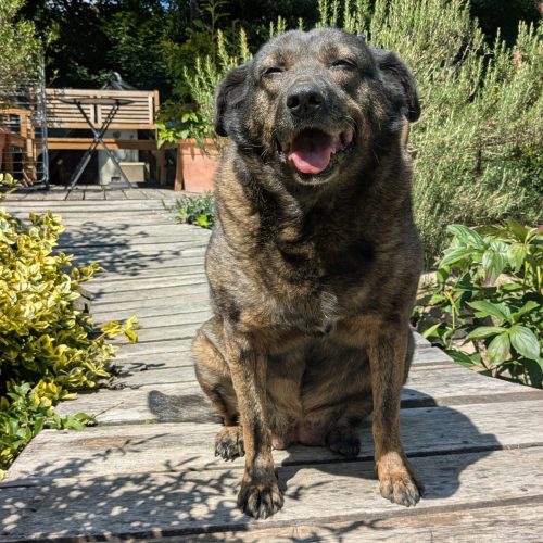 PXL_20250824_113531736