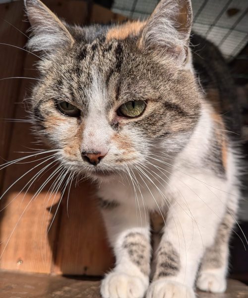 PXL_20251001_151757344