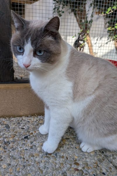 PXL_20251117_115635989