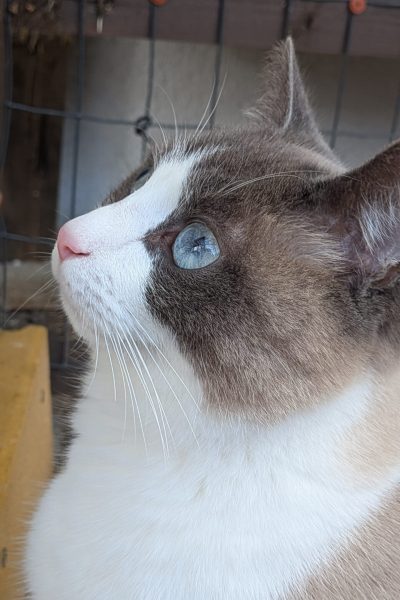 PXL_20251117_115954286