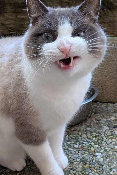 PXL_20251117_120057573