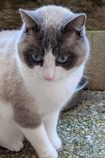 PXL_20251117_120058579